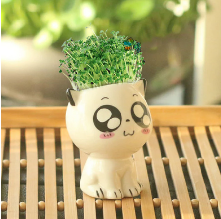 Cat-Shaped DIY Grass Planter – Desktop Plant Pot
