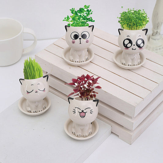 Cat-Shaped DIY Grass Planter – Desktop Plant Pot