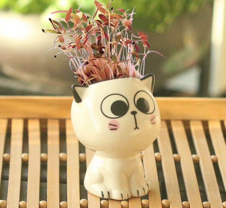 Cat-Shaped DIY Grass Planter – Desktop Plant Pot