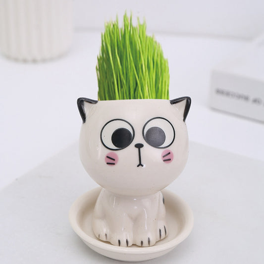 Cat-Shaped DIY Grass Planter – Desktop Plant Pot