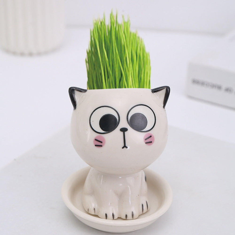 Cat-Shaped DIY Grass Planter – Desktop Plant Pot