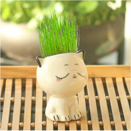 Cat-Shaped DIY Grass Planter – Desktop Plant Pot